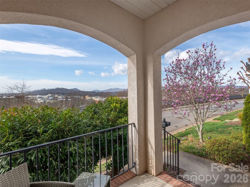 224 Leucothoe Ln, Asheville, NC 28803