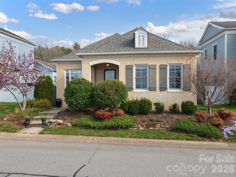 224 Leucothoe Ln, Asheville, NC 28803