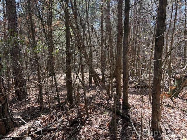 7350 Paul Linker Pl, Concord, NC 28025