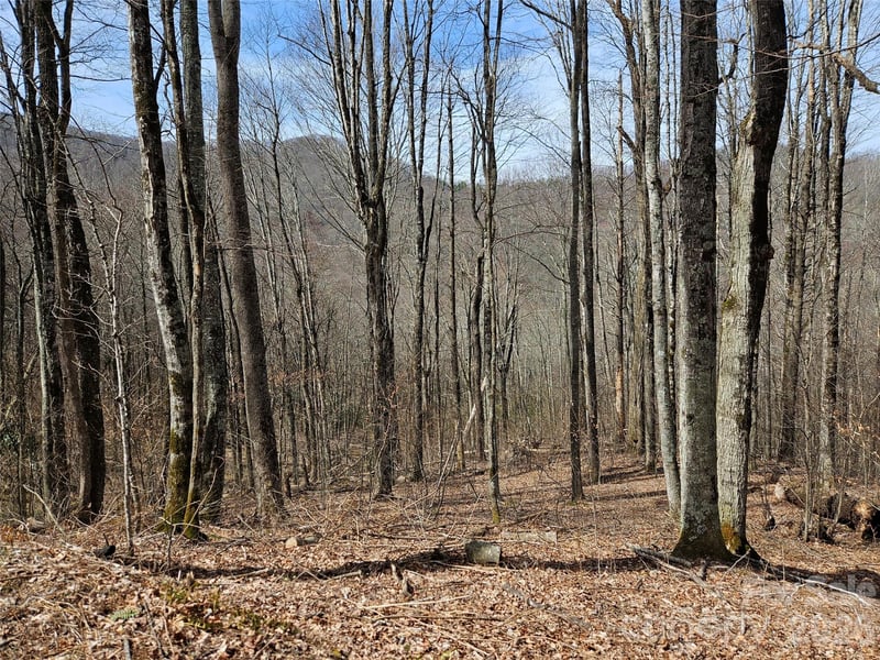 000 Forbidden Cv, Waynesville, NC 28785
