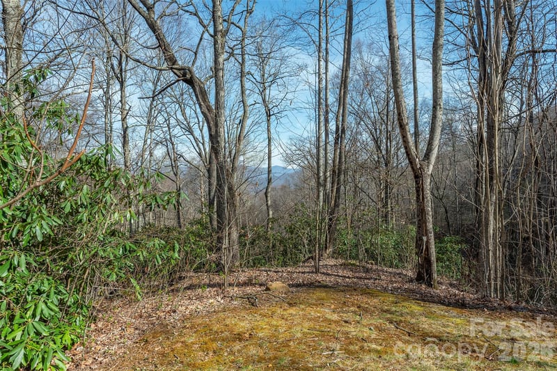 1279 Arborcrest Way #38, Swannanoa, NC 28778