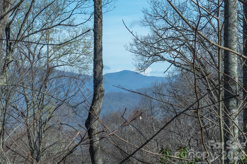 1279 Arborcrest Way #38, Swannanoa, NC 28778