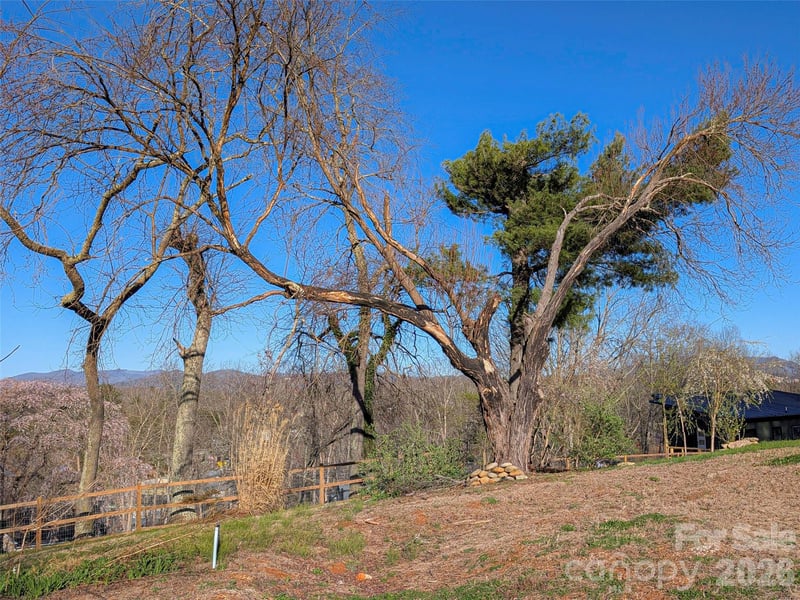 14 Mountain Ter, Asheville, NC 28806