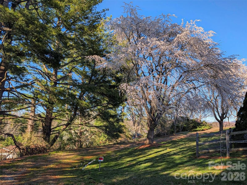 14 Mountain Ter, Asheville, NC 28806