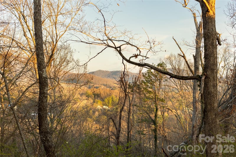 9999 Weaver Hill Rd, Asheville, NC 28805