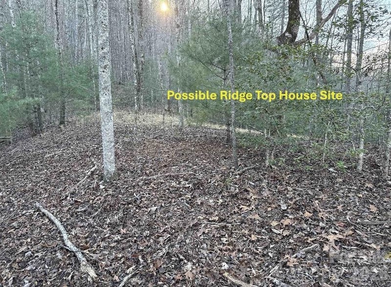 70 Earls Rd, Bryson City, NC 28713
