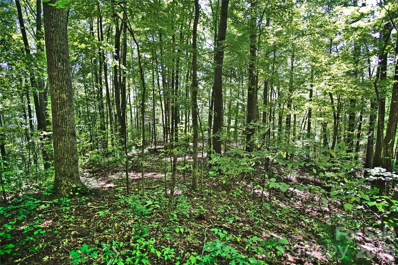 2166 Cove Creek Rd, Waynesville, NC 28785