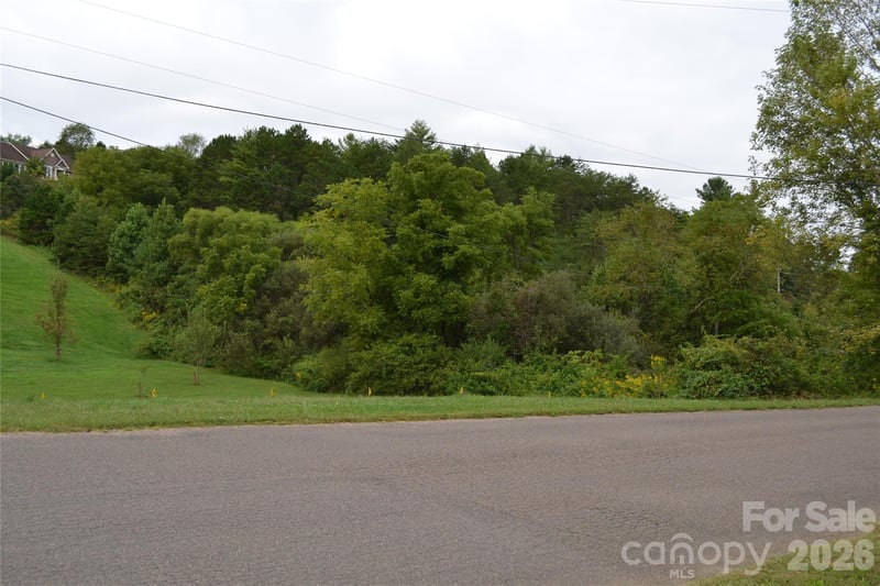 29 Sage Dr, Weaverville, NC 28787