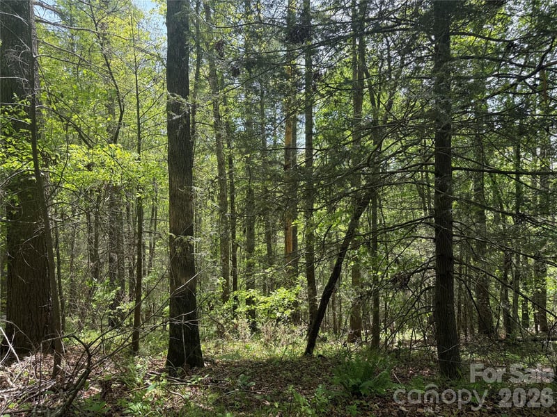 242 area Radford Rd #1, Mars Hill, NC 28754