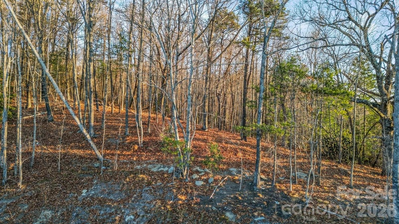 99 Spring Song Ln #9, Fletcher, NC 28732