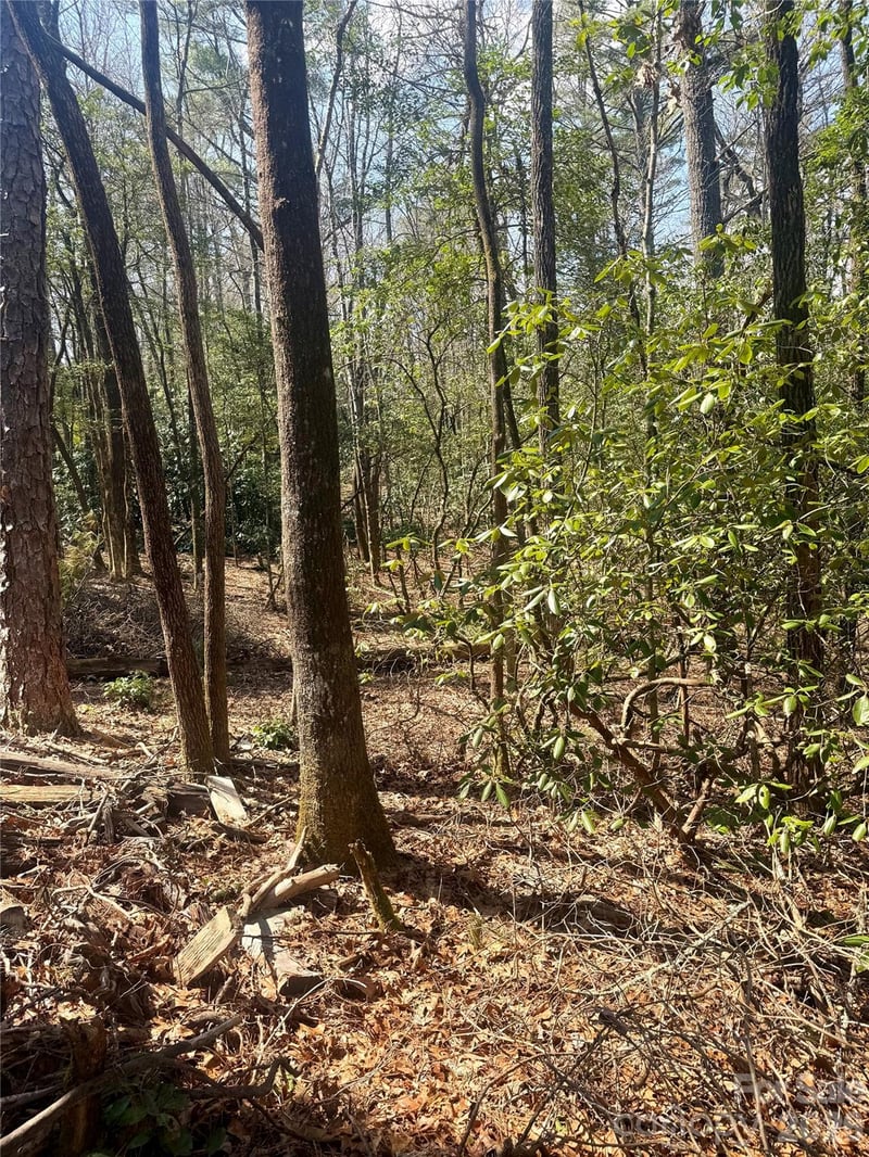 TBD Minerva Ln Lot s 79,80,84, Sapphire, NC 28774