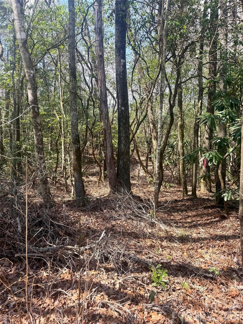 TBD Minerva Ln Lot s 79,80,84, Sapphire, NC 28774
