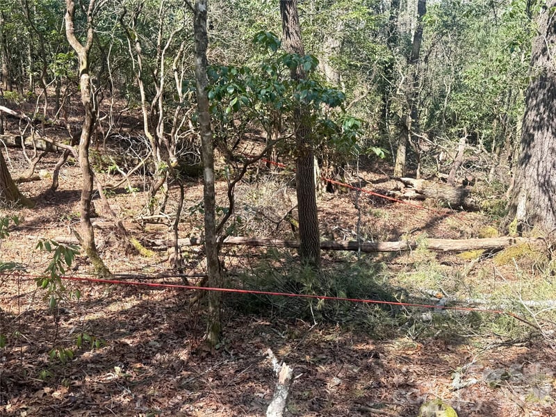 TBD Minerva Ln Lot s 79,80,84, Sapphire, NC 28774