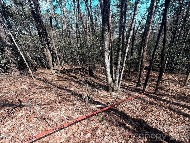 TBD Minerva Ln Lot s 79,80,84, Sapphire, NC 28774