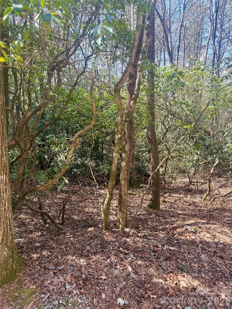 TBD Minerva Ln Lot s 79,80,84, Sapphire, NC 28774