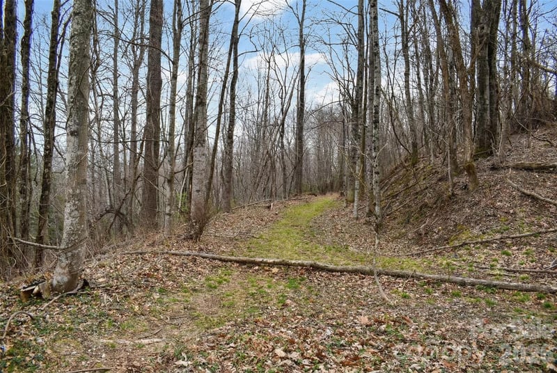 252 Pinewood Cir, Hendersonville, NC 28739