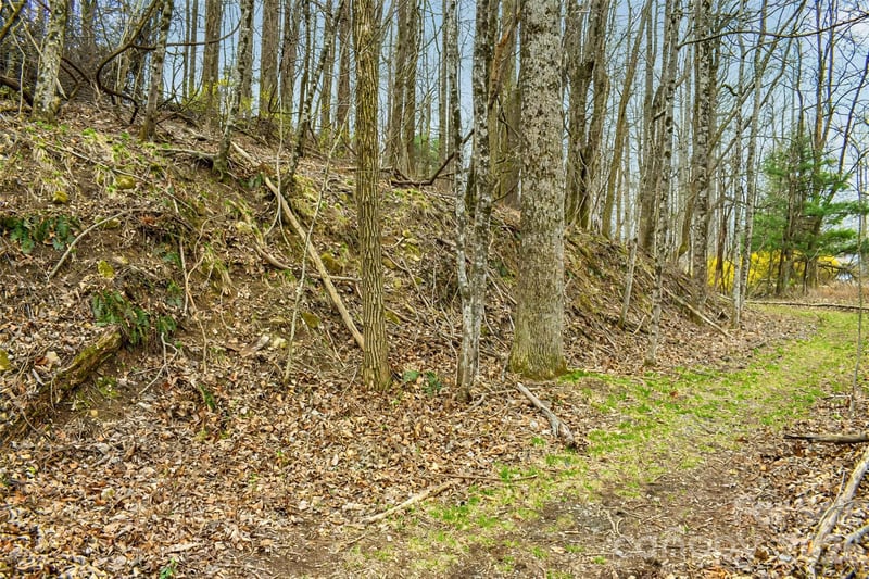 252 Pinewood Cir, Hendersonville, NC 28739