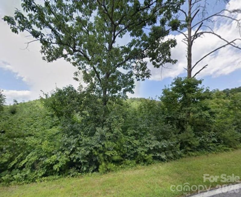 329 Leman Gap Rd, Casar, NC 28020