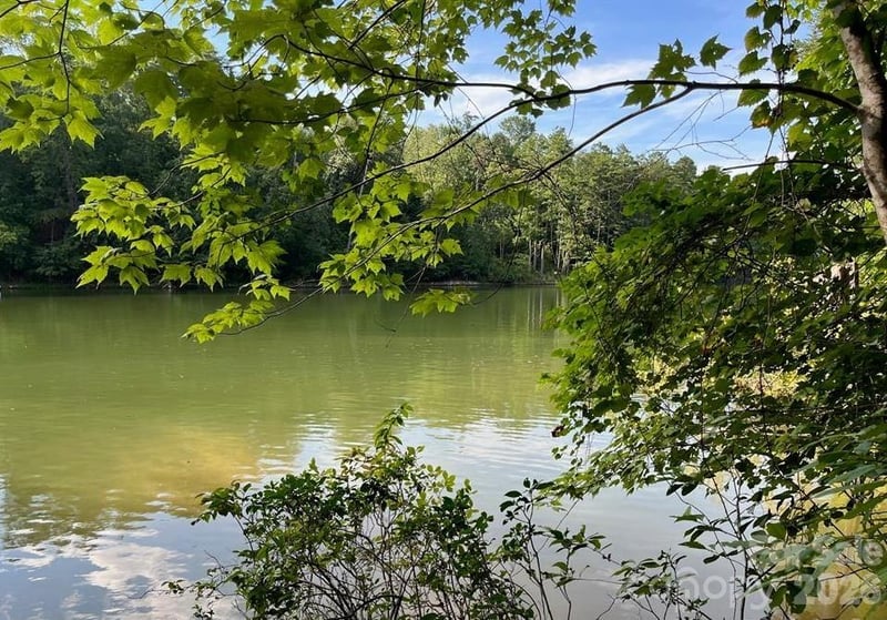 00 Canoe Dr #44, Mill Spring, NC 28756