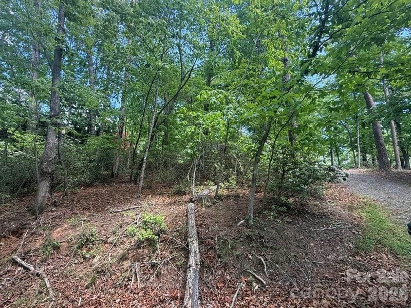 00 Canoe Dr #44, Mill Spring, NC 28756