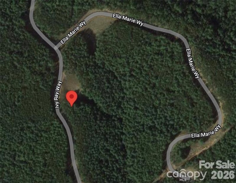 2377 Ivy Rays Way #56, Nebo, NC 28761
