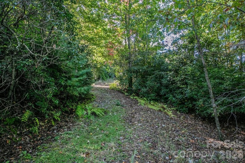 TBD Rock Face Rd #L299, Brevard, NC 28712