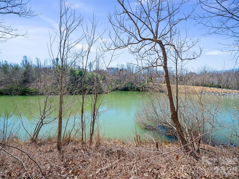 82 Narrows Run Loop, Hendersonville, NC 28791