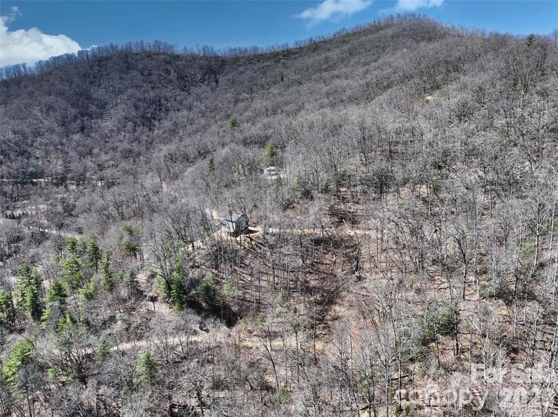 11 Taryn Tc #16, Barnardsville, NC 28709