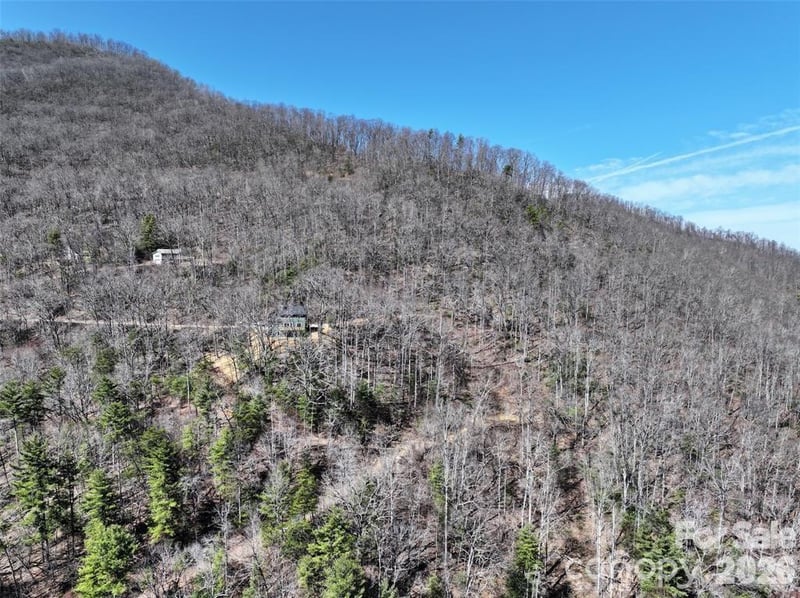11 Taryn Tc #16, Barnardsville, NC 28709