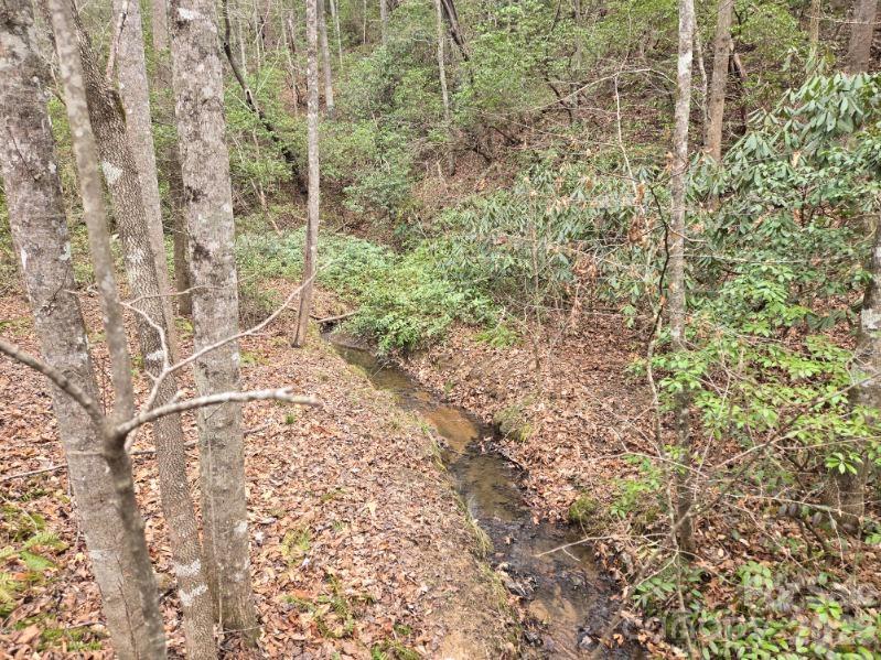 575 Shannons Walk, Lake Lure, NC 28746