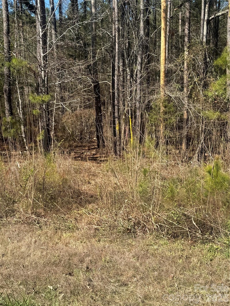 1802 Goings Rd, Chester, SC 29706