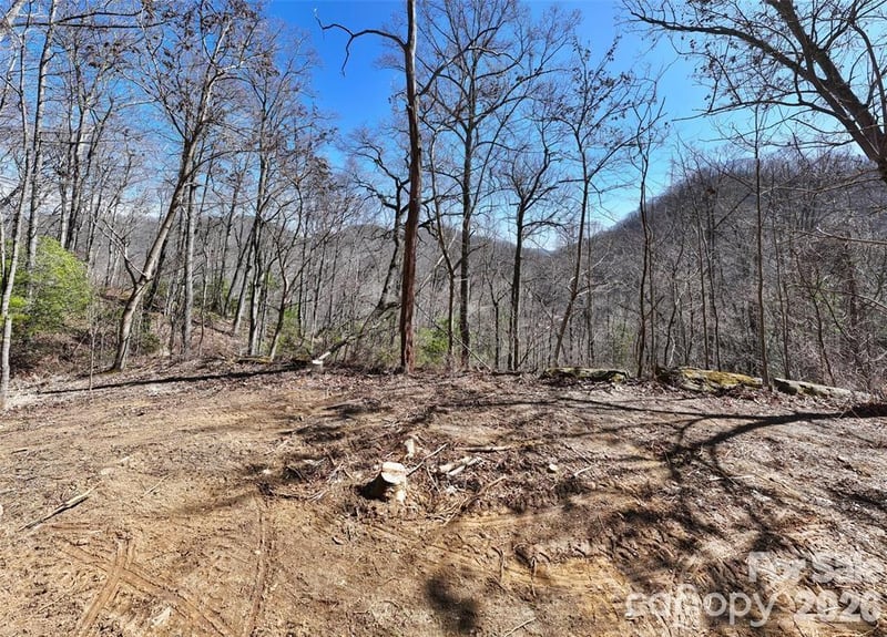 99999 Green Ridge Falls Rd #17, Barnardsville, NC 28709