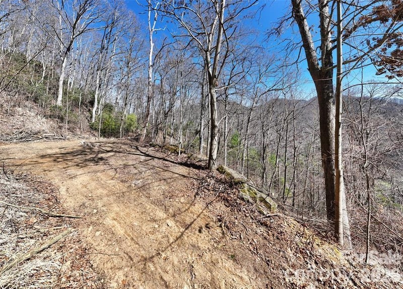 99999 Green Ridge Falls Rd #17, Barnardsville, NC 28709