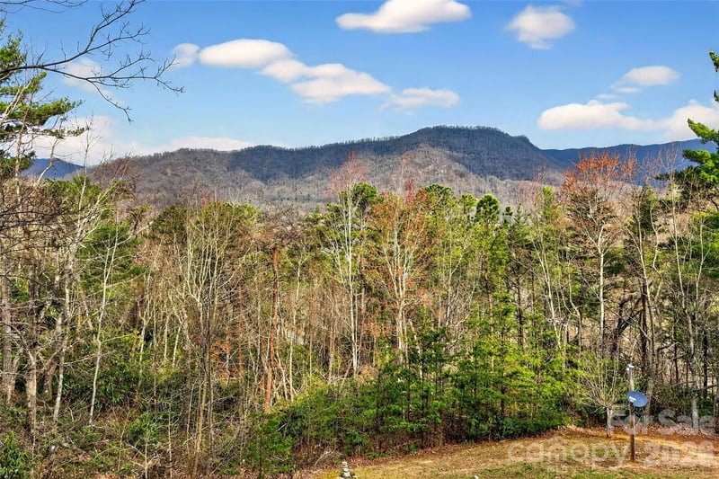 182 Baby Fox Dr, Marion, NC 28752