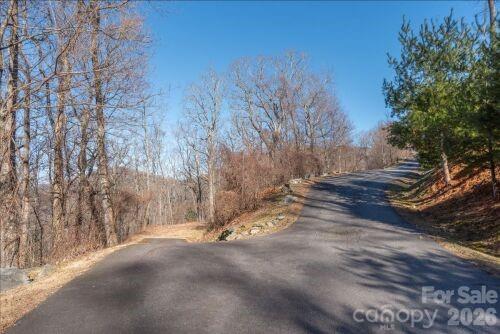 96 Castanea Mountain Dr, Asheville, NC 28803