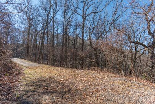 96 Castanea Mountain Dr, Asheville, NC 28803