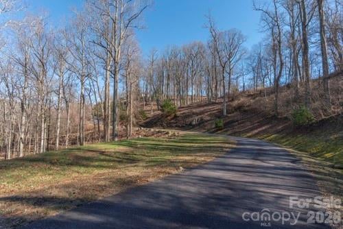 96 Castanea Mountain Dr, Asheville, NC 28803