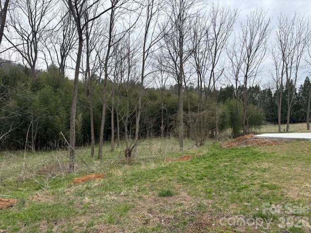 99999 Tatoonie Ln, Asheville, NC 28804