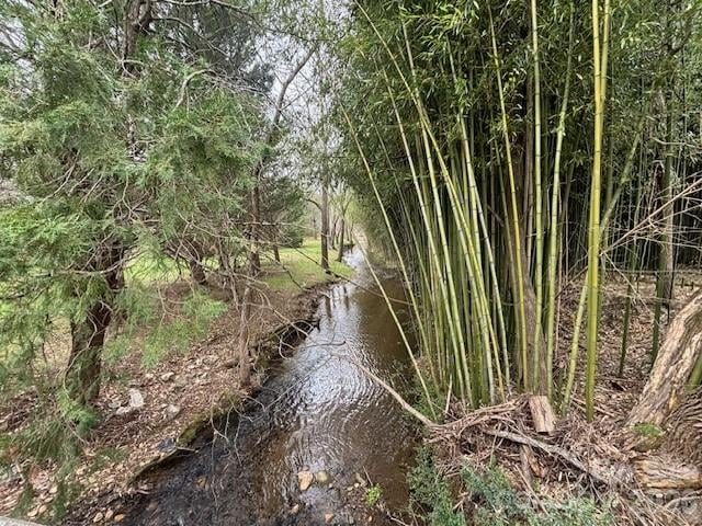 99999 Tatoonie Ln, Asheville, NC 28804