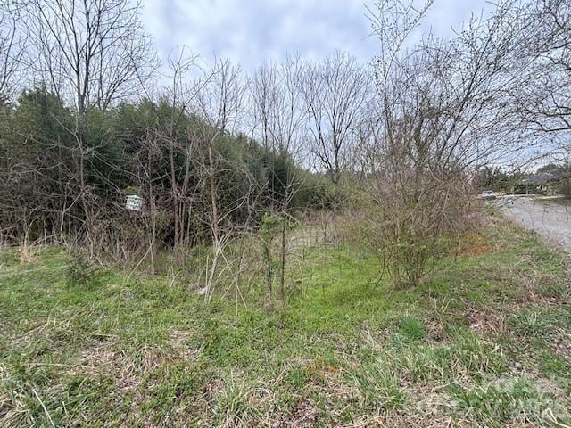 99999 Tatoonie Ln, Asheville, NC 28804