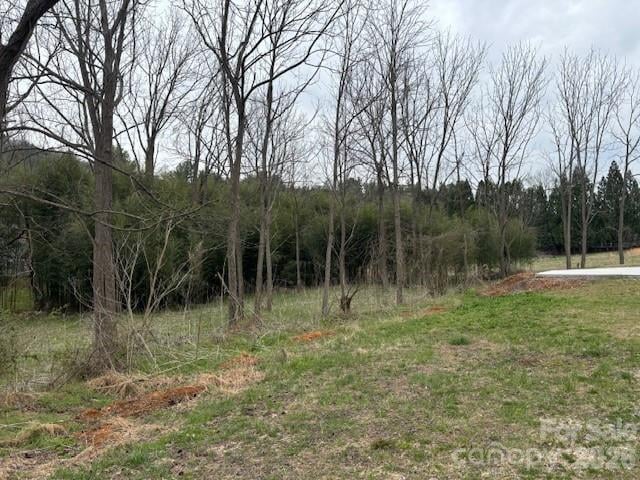 99999 Tatoonie Ln, Asheville, NC 28804