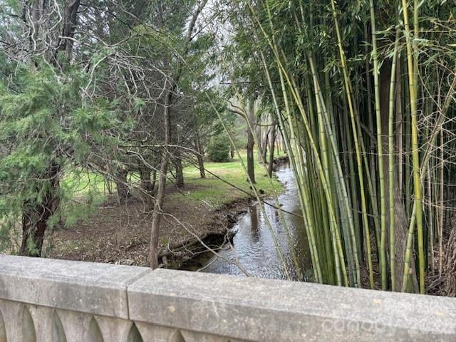 99999 Tatoonie Ln, Asheville, NC 28804