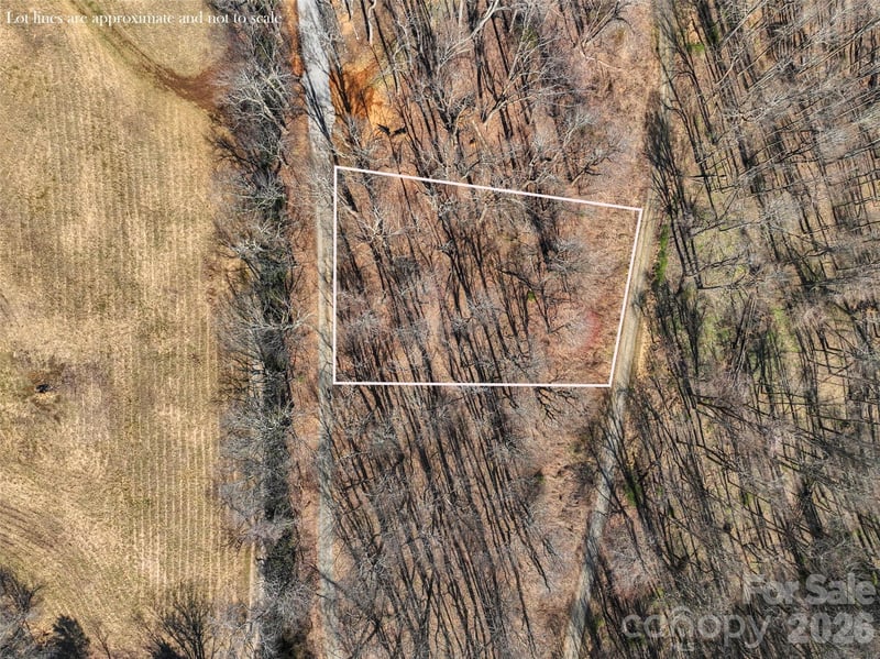 Lot 32 Strawberry Ridge Rd, Little Switzerland, NC 28749