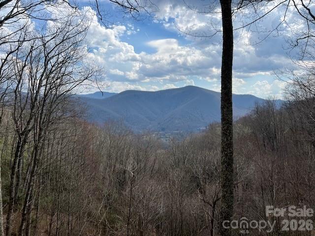 399 Bent Tree Rd, Maggie Valley, NC 28751