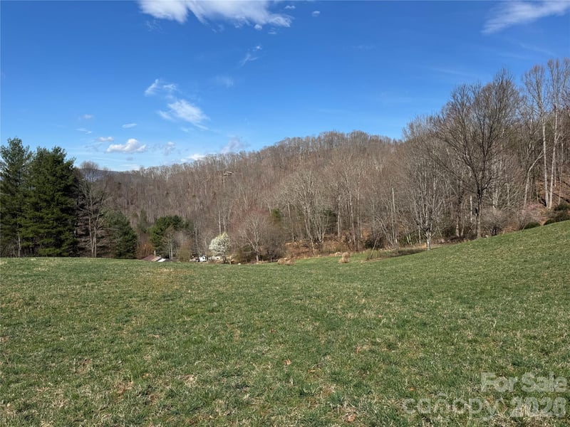 270 Anielee Ln, Clyde, NC 28721