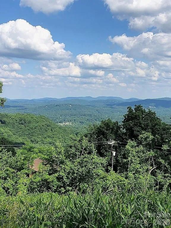 000 Alta Cir, Hendersonville, NC 28739