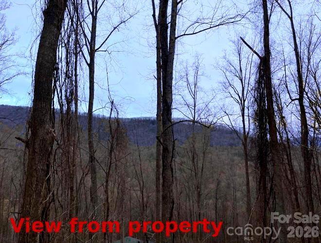 89 Weeping Cherry Forest Rd, Fairview, NC 28730