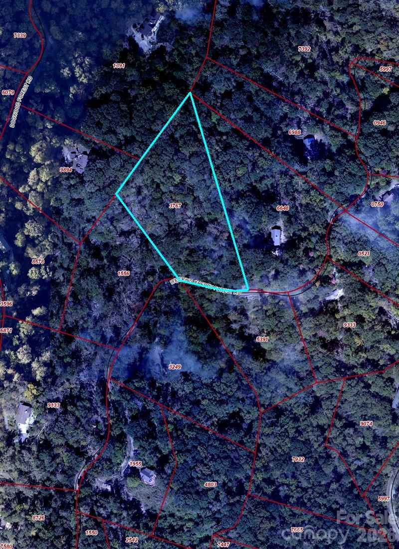 65 Weeping Cherry Forest Rd, Fairview, NC 28730