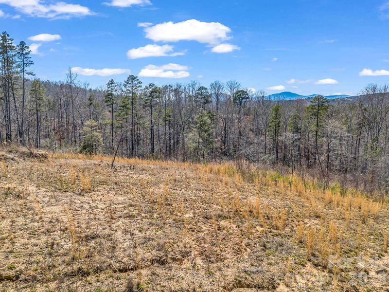 00 Shady Bark Ln #52, Rutherfordton, NC 28139
