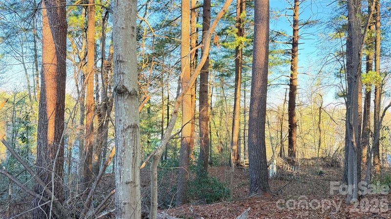 00 Toms Park Cir #21&22, Hendersonville, NC 28792